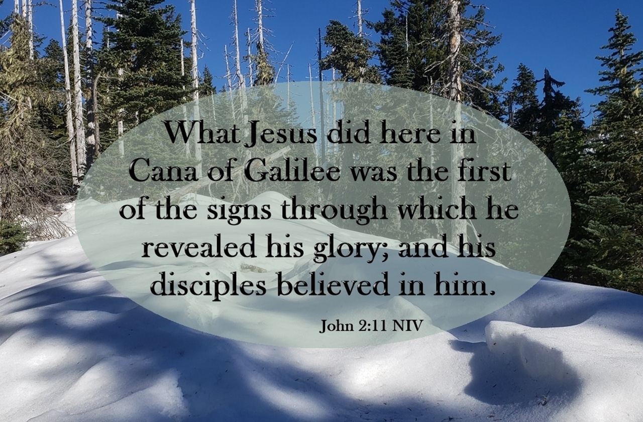 Signs that reveal Jesus' glory