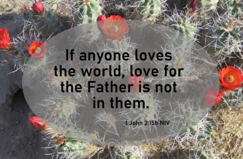 do not love the world