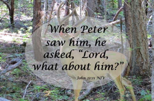 Lord, what about him?