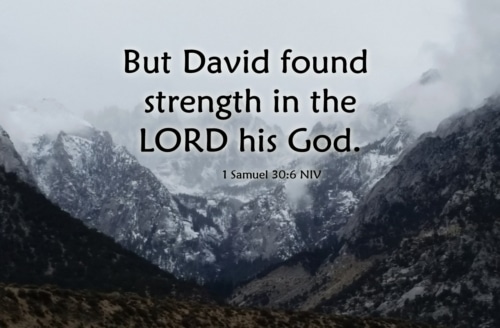 strength in the Lord