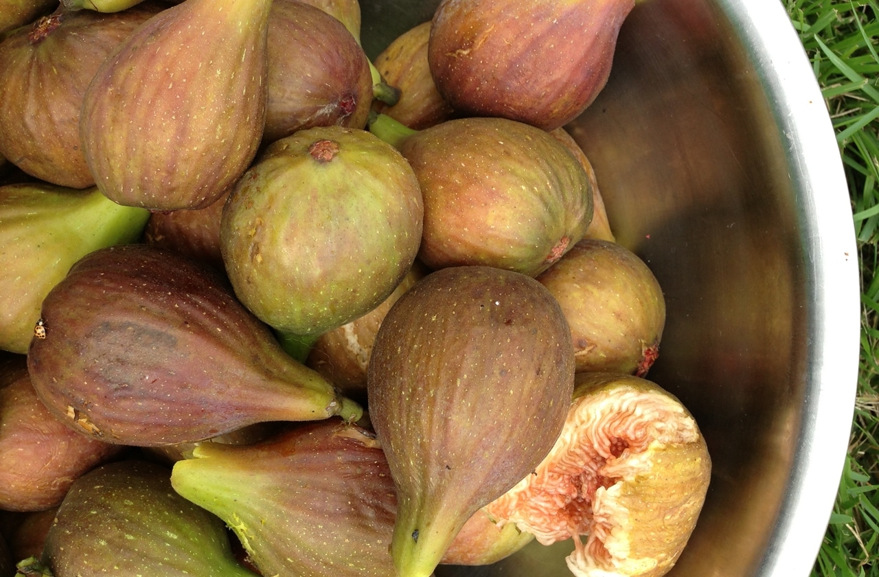 two baskets of figs