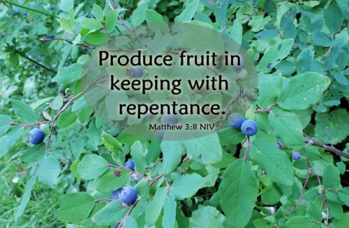 produce the fruit of repentance