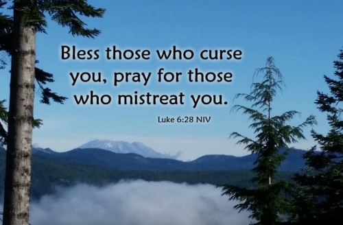 bless those who curse you