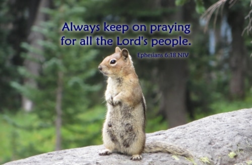 always keep on praying