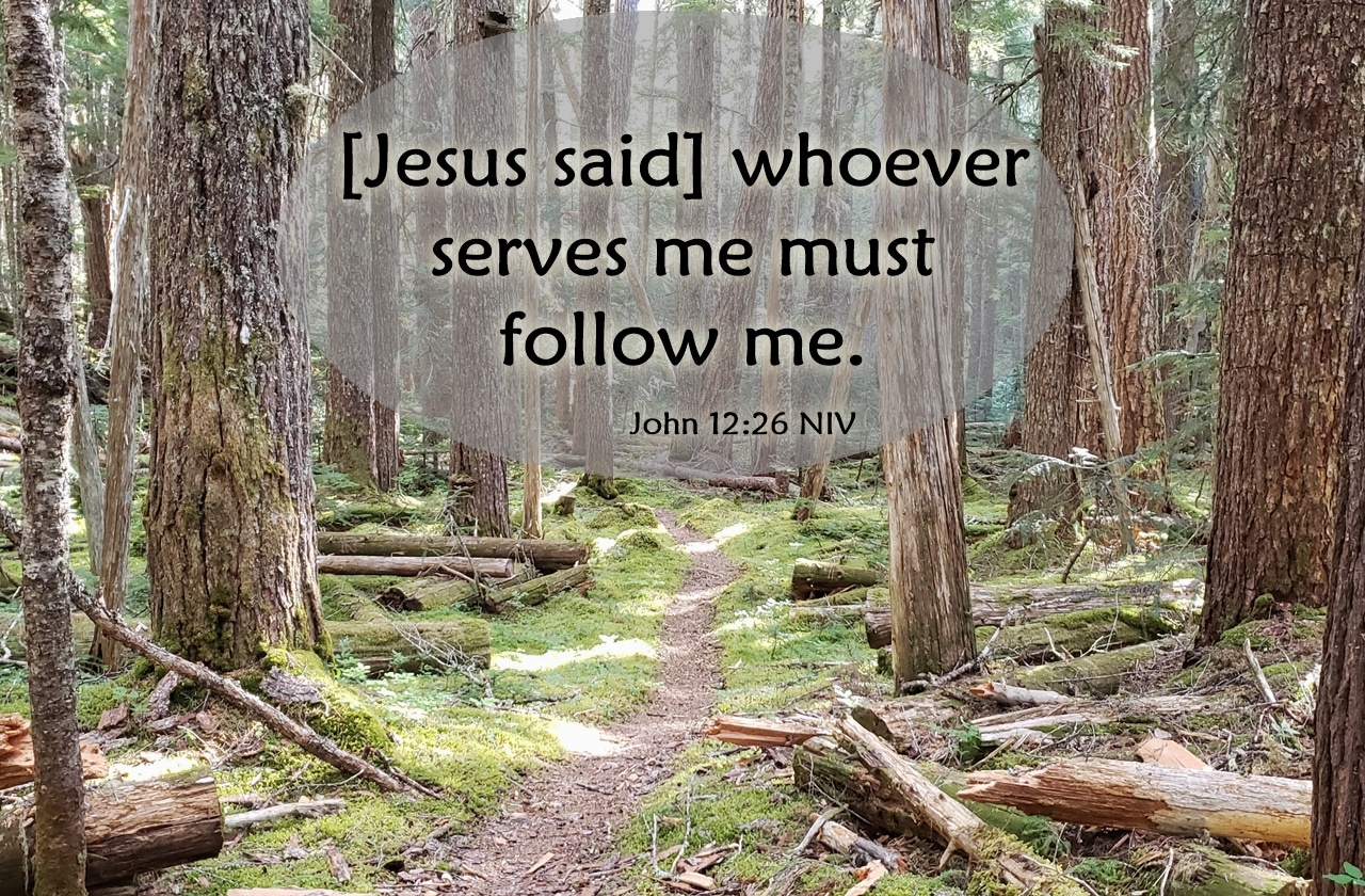 following Jesus wherever he leads