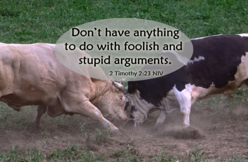 avoid foolish and stupid arguments