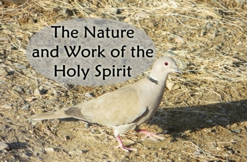 nature and work of the Holy Spirit