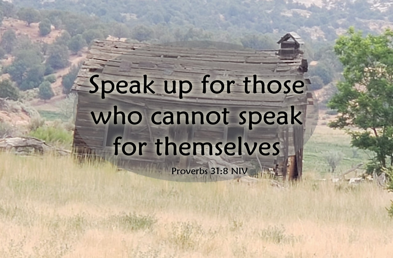 speak up for the voiceless