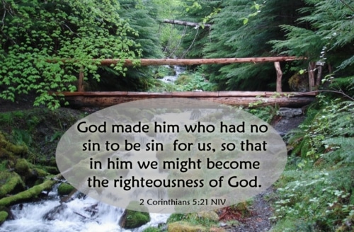 Christ Became Sin for Us