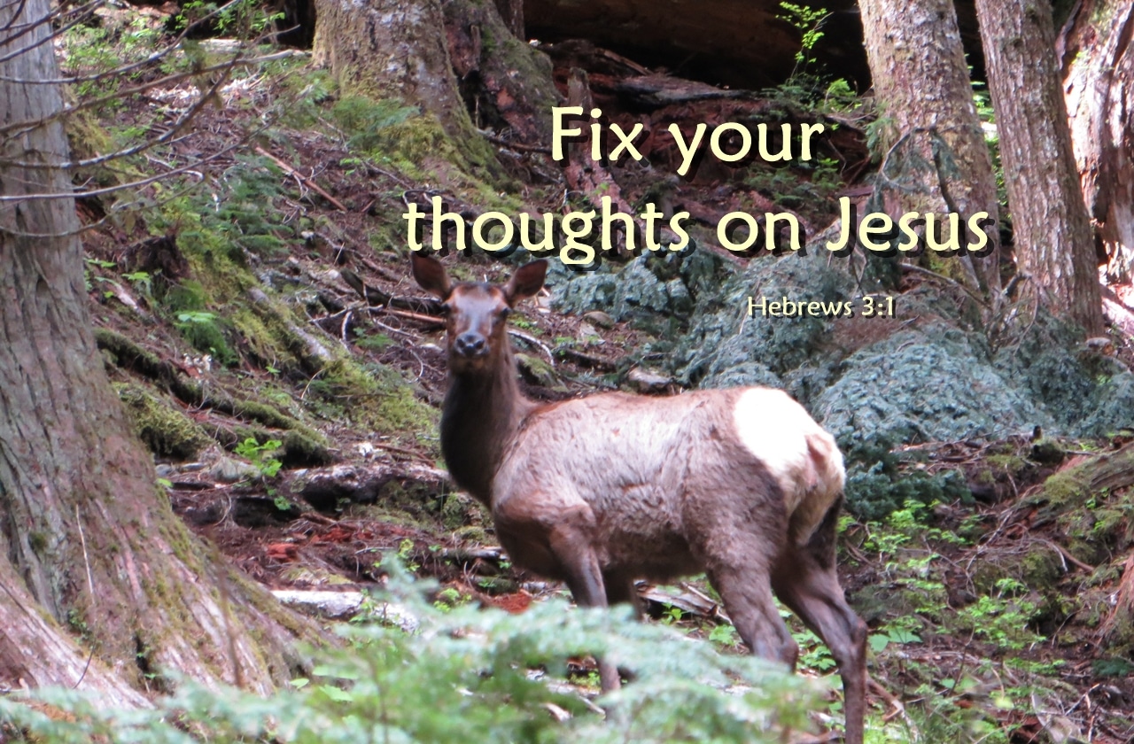 Fix your thoughts on Jesus