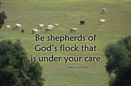 Instruction to Shepherds