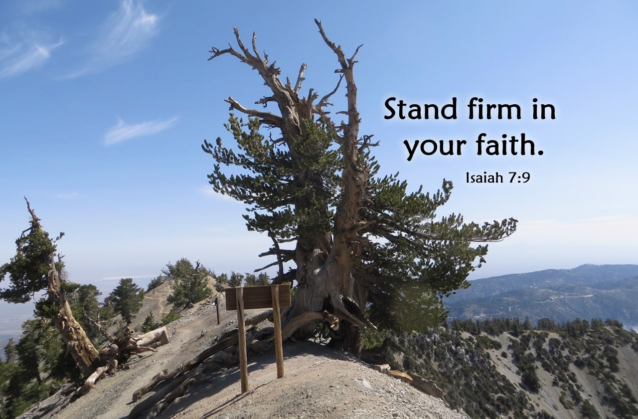 stand firm in your faith