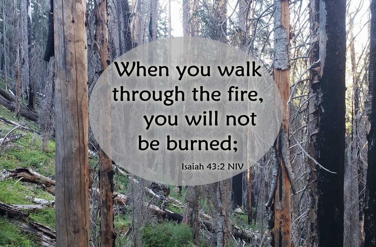 When You Walk Through the Fire