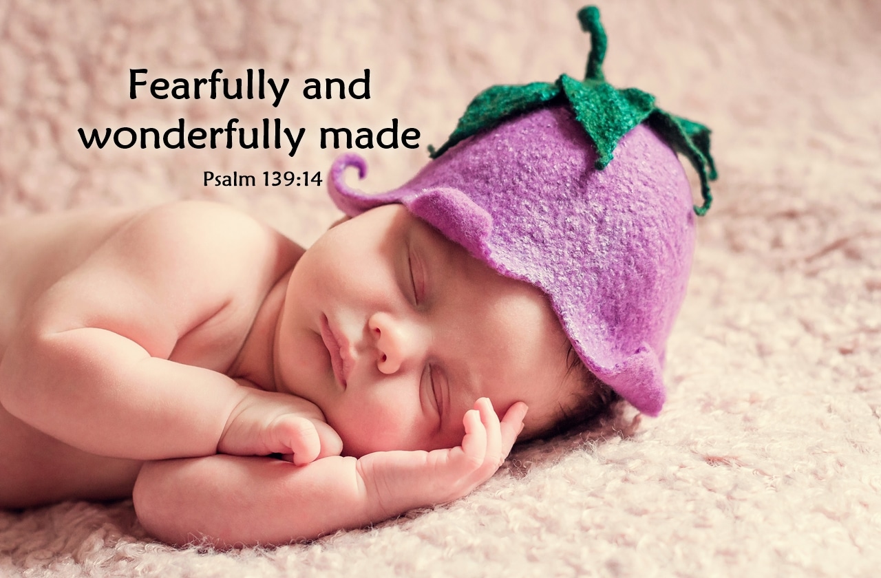 Fearfully and Wonderfully Made