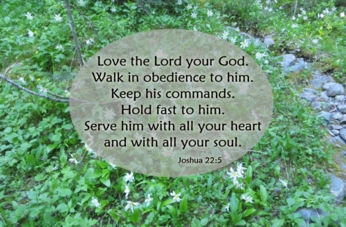 Love and Serve the Lord