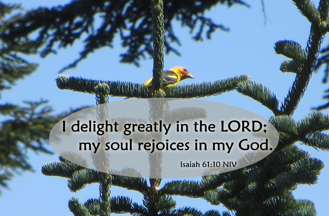My Soul Rejoices In My God