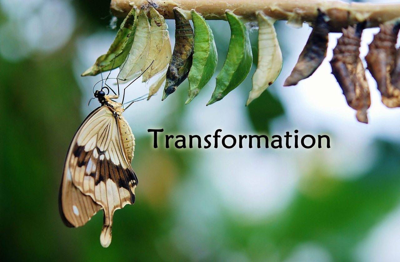 Transforming Ordinary People