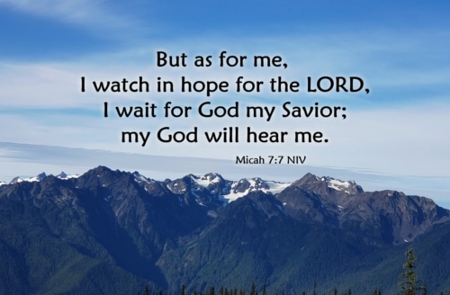 I Will Hope in the Lord