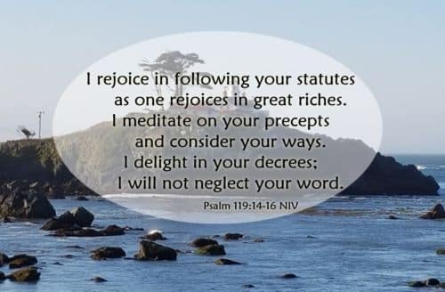 Rejoice in God's Word