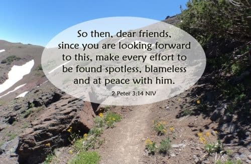 Make every effort to be found blameless, spotless, and at peace with God