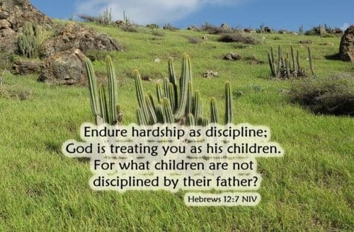 Treat Hardship as Discipline