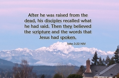 Then They Believed the Scripture