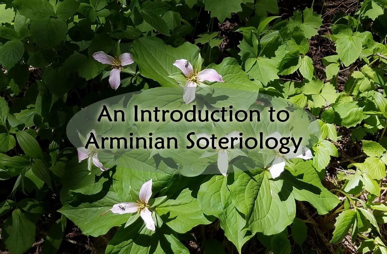 Introduction to Arminian Soteriology