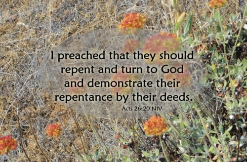 demonstrate repentance