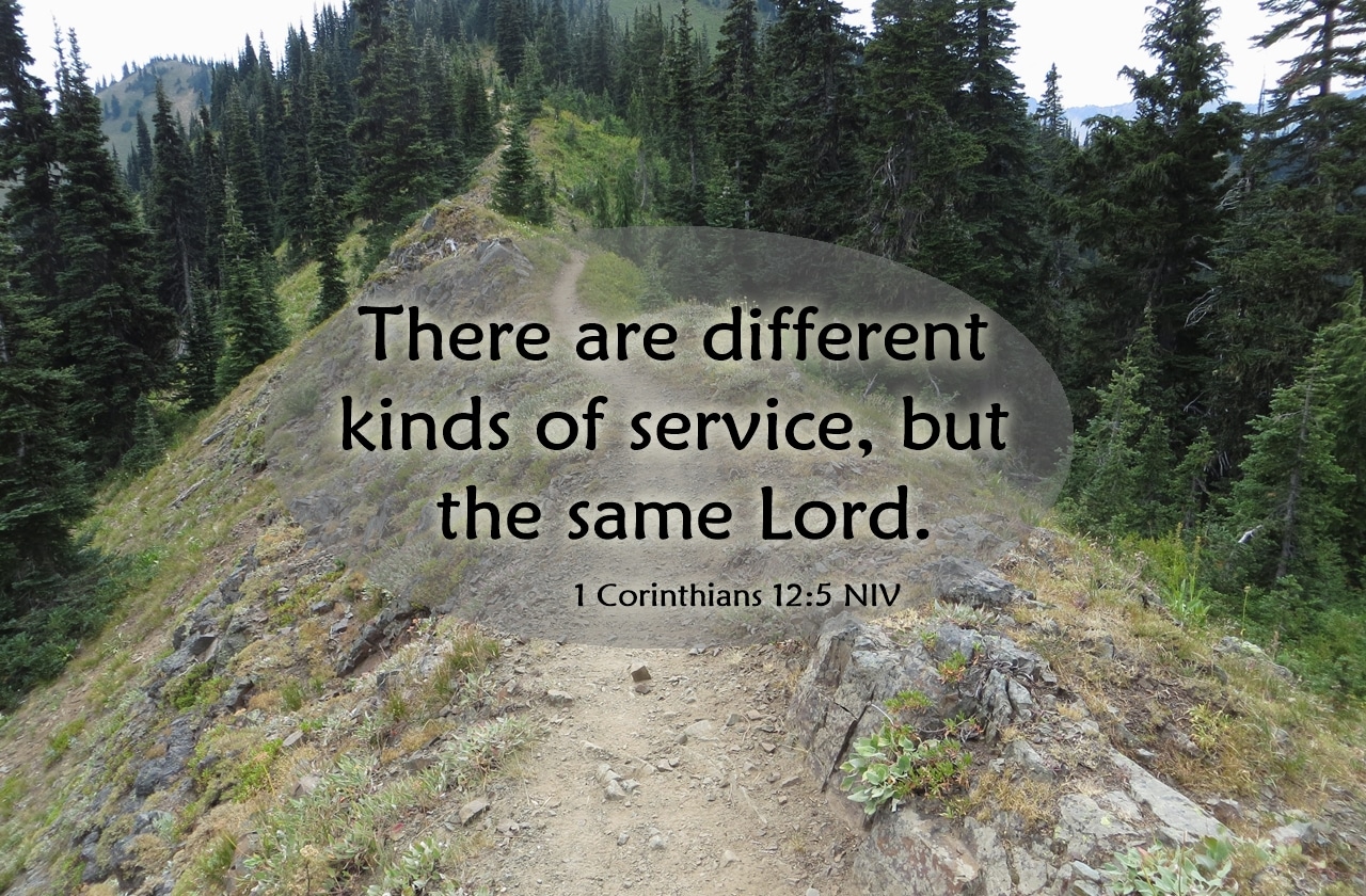 different kinds of service