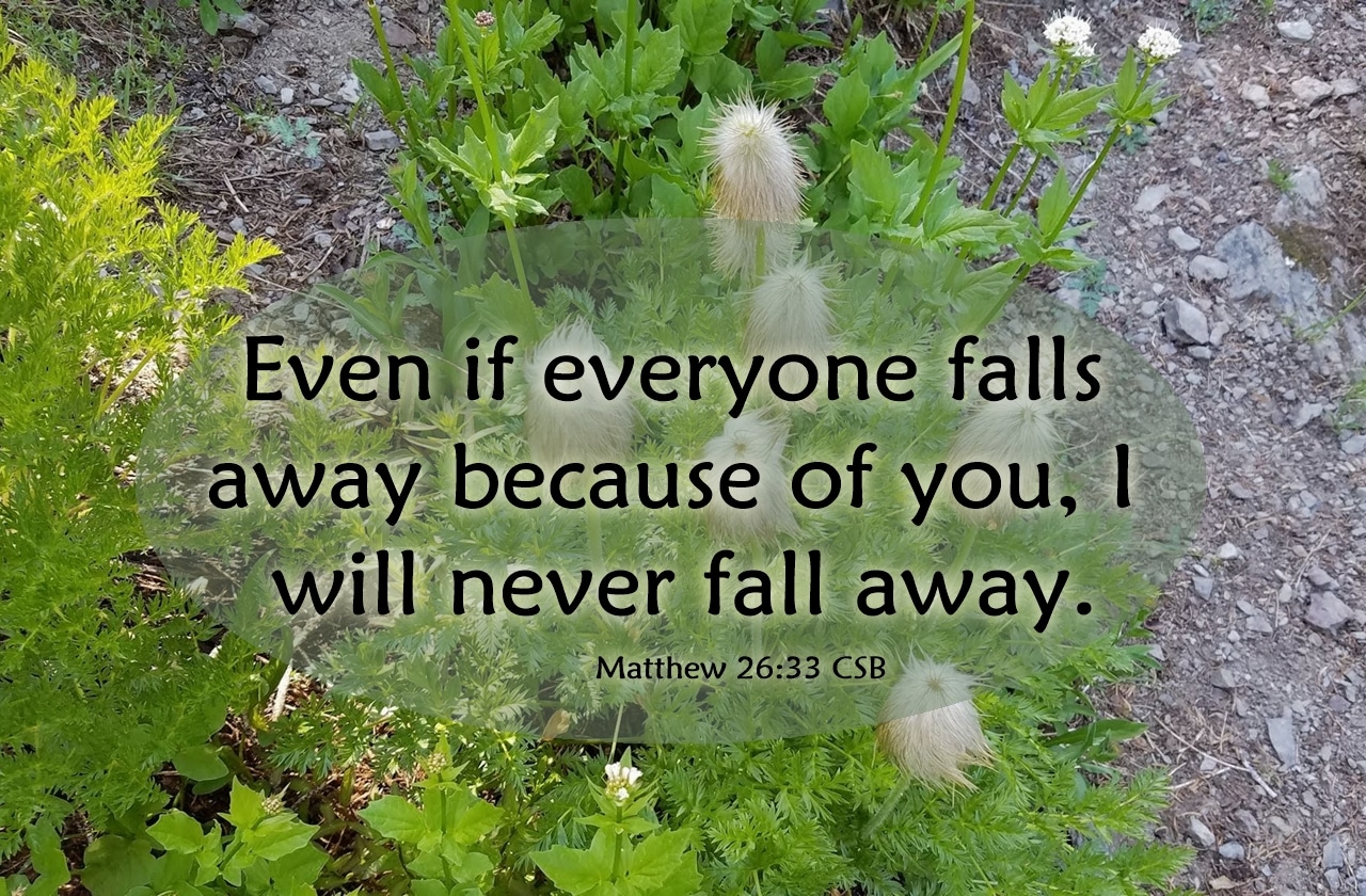 I will never fall away