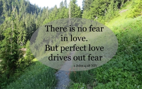love drives out fear