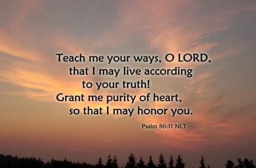 Teach me your ways, O Lord