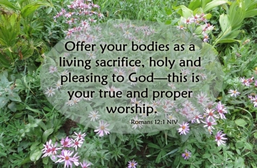 What is true worship?